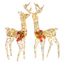 Load image into Gallery viewer, 2-Piece Reindeer Family Set with 230 LED Lights and Ground Stakes
