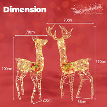 Load image into Gallery viewer, 2-Piece Reindeer Family Set with 230 LED Lights and Ground Stakes
